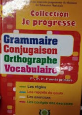 Je progresse : Grammaire,conjugaison,orthographe,vocabulaire 1,2,3,4 année primaire