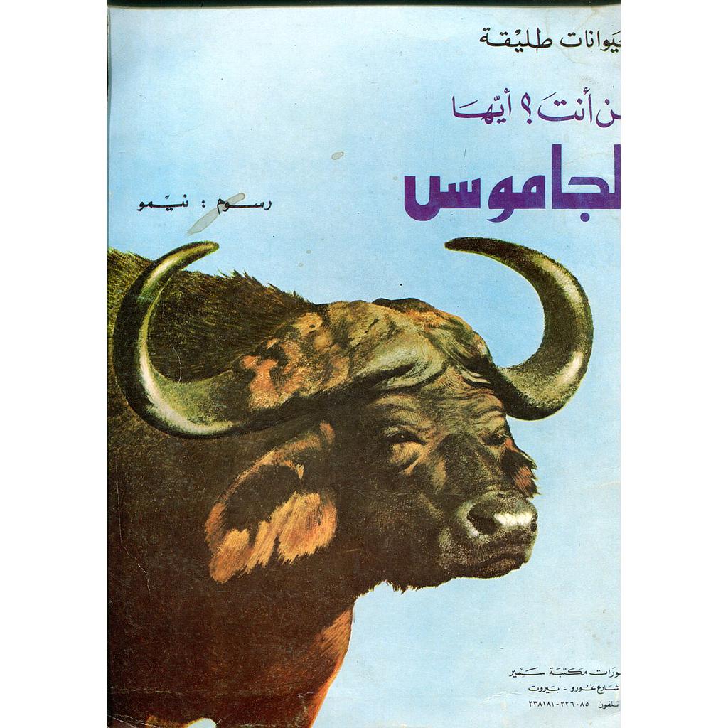 من أنت أيها الجاموس