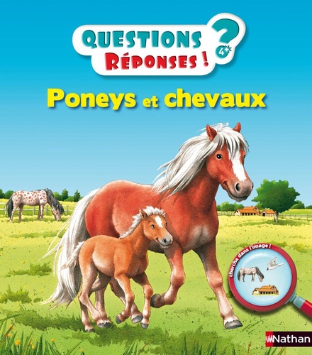 Poneys et chevaux - Questions/Réponses - doc dès 5 ans