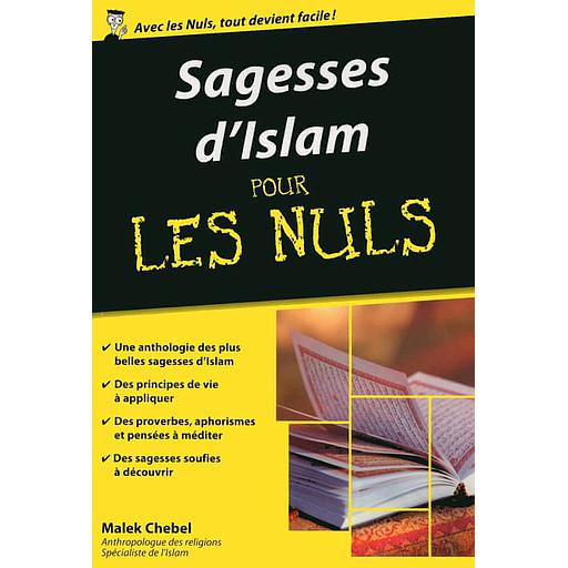 Sagesses d'Islam poche pour les nuls