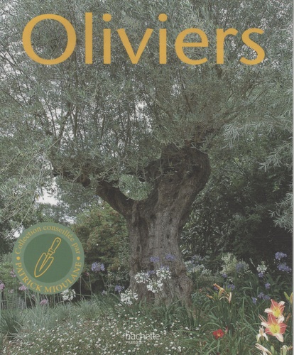 Oliviers  - L'histoire et la culture de ces arbres de légende