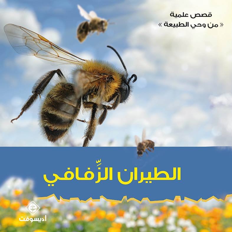 الطيران الزفافي