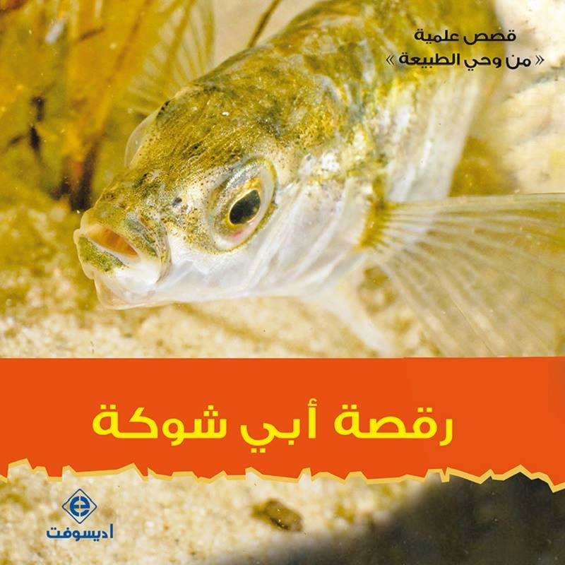 رقصة أبي شوكة