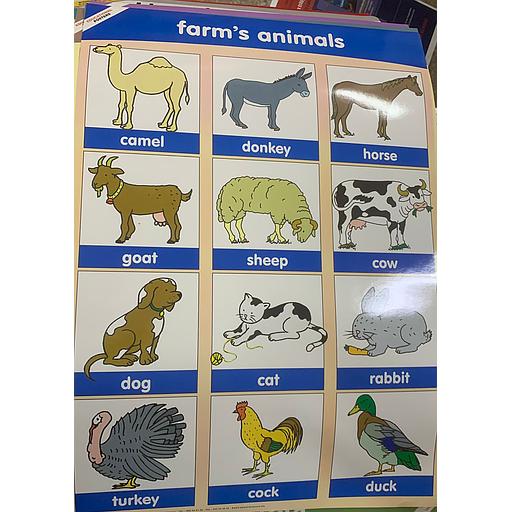 poster éducatif Farm's Animals