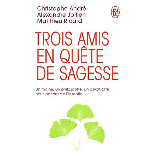 Trois amis en quête de sagesse  - Un moine, un philosophe, un psychiatre nous parlent de l'essentiel