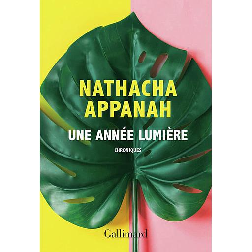 Une année lumière  - Chroniques