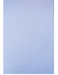 Papier Ministre 21x31 10 Feuilles