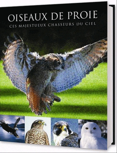 Oiseaux de proie  - Ces majestueux chasseurs du ciel
