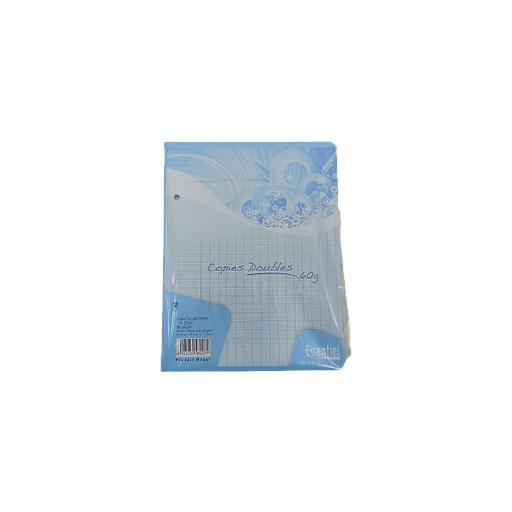 Copies Doubles Perforées Séyès 17 x 22 Bleu 96P 60G