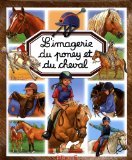 Poney et cheval