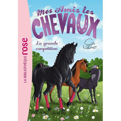 Mes amis les chevaux Tome 2 - La grande compétition