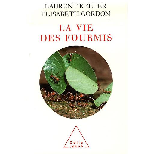 La vie des fourmis