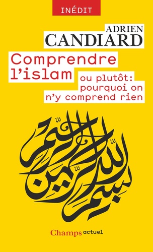 Comprendre l'islam ou plutôt : pourquoi on n'y comprend rien