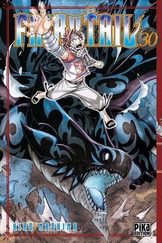 Fairy Tail Tome 30                      - Tankobon