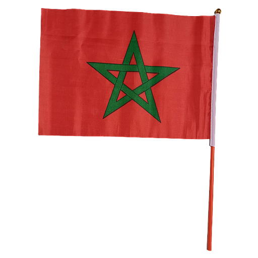 Drapeau avec manche en plastique