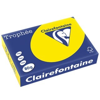 Papier Couleur Clairefontaine Jaune Fluo 2977C A4 80G
