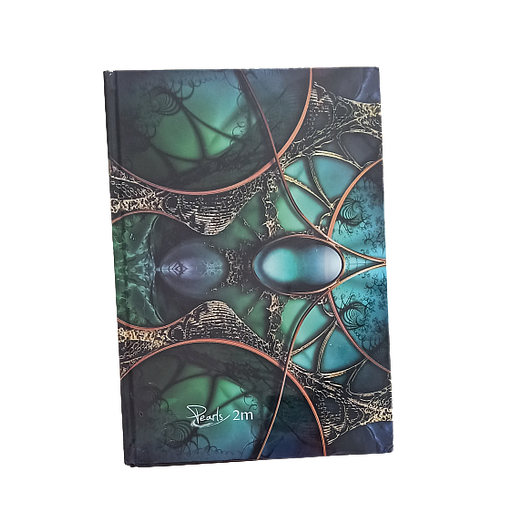 Registre MINTRA 2M A4 - 96 feuilles