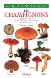 Champignons