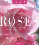 Roses parfumées