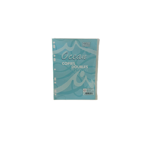 Copies Doubles Perforées 21x29,7 Séyès Blanches 100P 60G