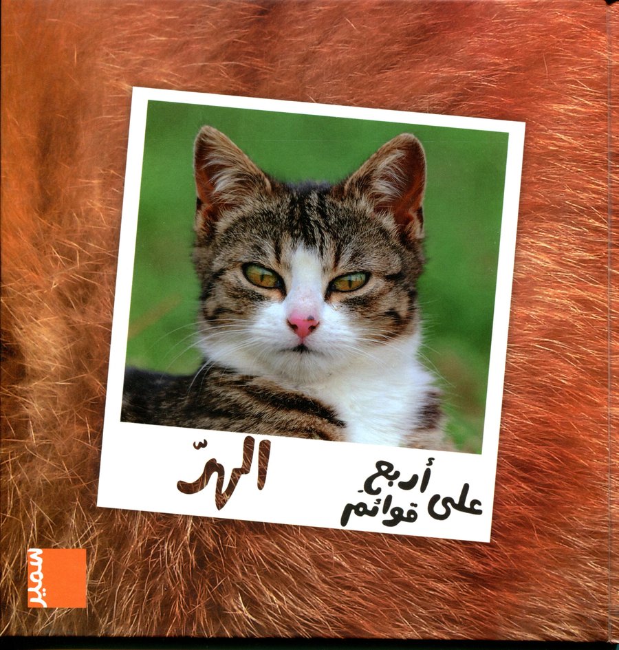 الهر