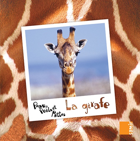 Peau, poils et pattes - La girafe