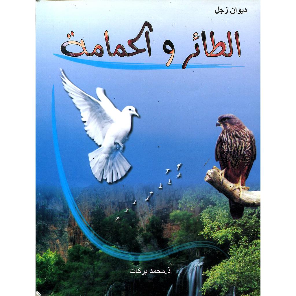 الطائر والحمامة