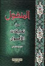 المنخول من تعليقات الأصول 