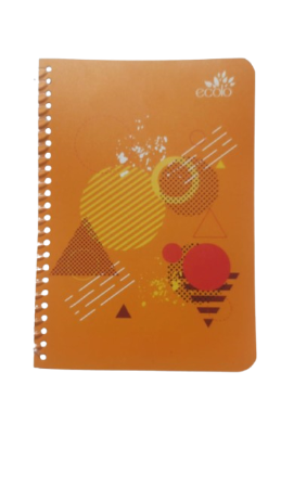 Carnet Spirale 21*14 160P