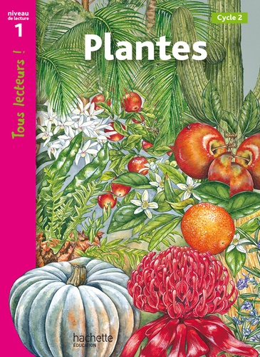Plantes  - Niveau 1, Cycle 2