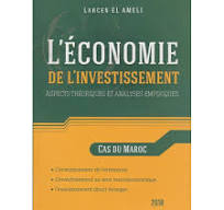 L'économie de l'investissement