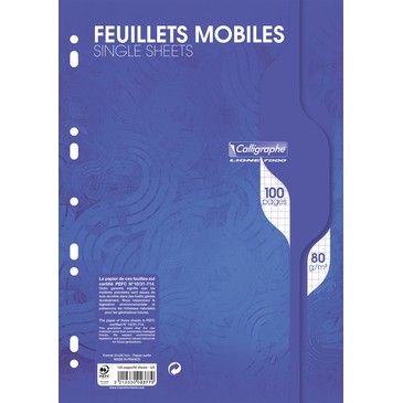 Feuilles Mobiles Simple 21 x 29,7 5 x 5 100P