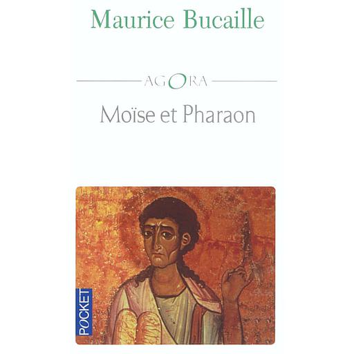 Moïse et Pharaon. Les Hébreux en Egypte, Quelles concordances des Livres saints avec l'Histoire ?