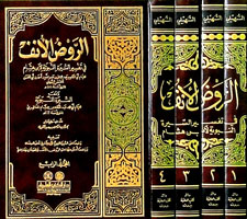 الروض الأنف في تفسير السيرة النبوية لابن هشام 1/4