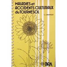 Maladies et accidents culturaux du tournesol