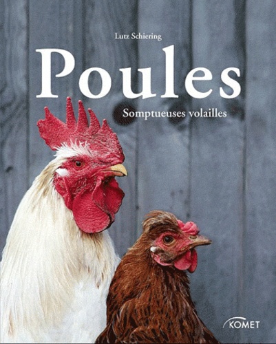 Poules  - Somptueuses volailles