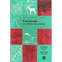 L'ananas, sa culture, ses produits