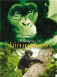 Chimpanzés