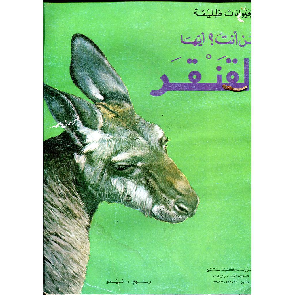 من أنت أيها القنقر