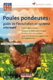 Poules pondeuses : guide de l'installation en système alternatif