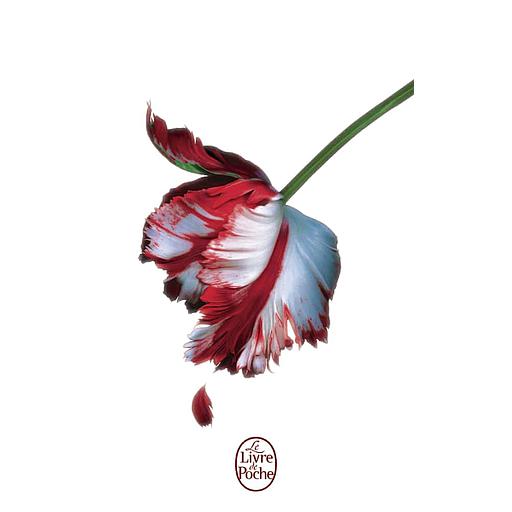 Twilight Tome 2 - Tentation