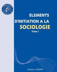 Elements d'initiation à la sociologie T1: Concepts, Ecoles et problématiques