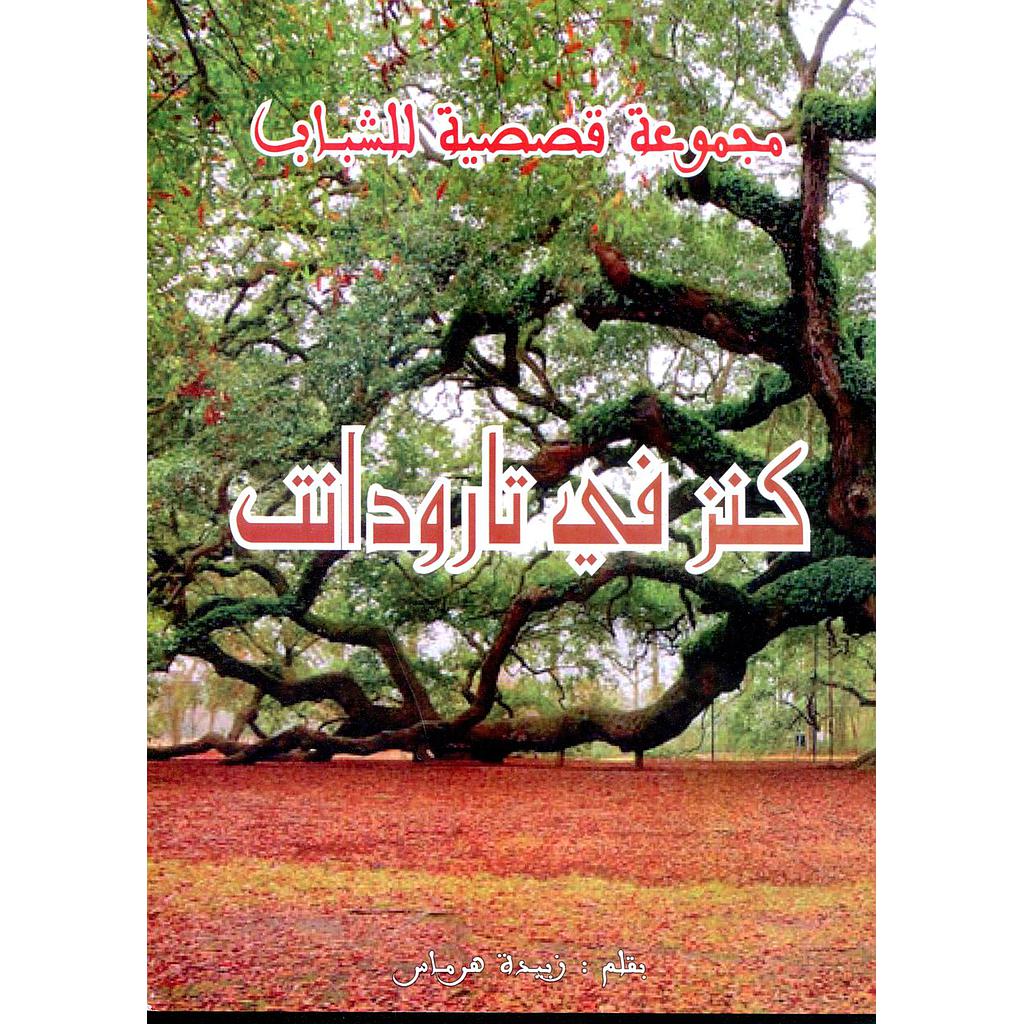 كنز في تارودانت