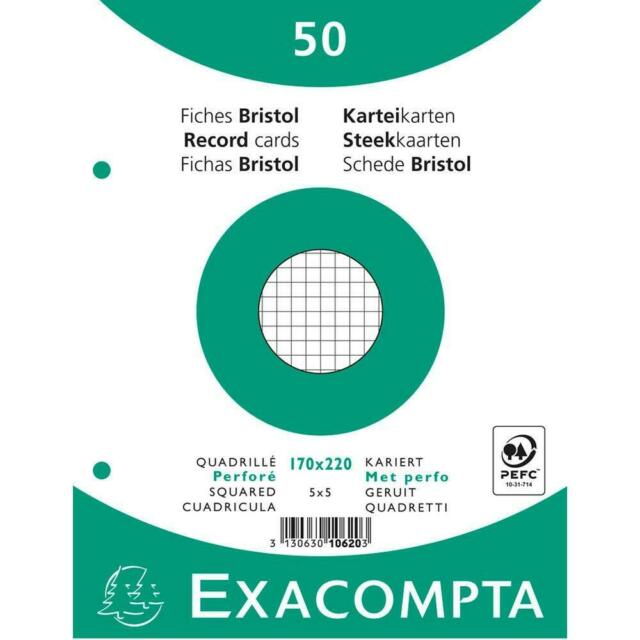 Fiche Bristol Blanc Quadrillé 170x220