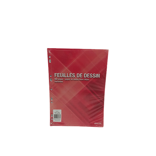 Feuilles de Dessin Perforées 21 x 29.7 100P  90G