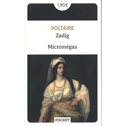 Zadig  - Suivi de Micromégas