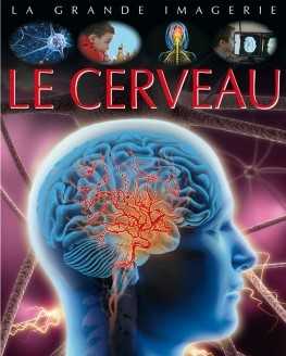La grande imagerie : Le Cerveau