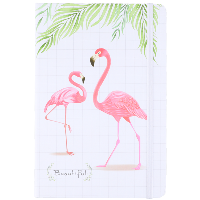 Carnet Note Book 3783 Boost Star