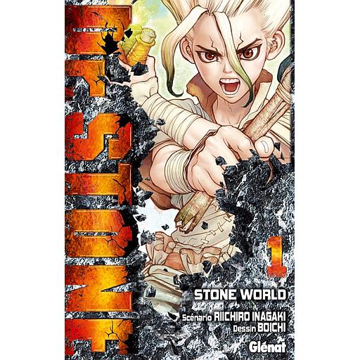 Dr Stone Tome 1 - Stone World