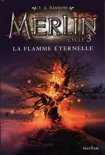 Merlin Tome 3 - La flamme éternelle